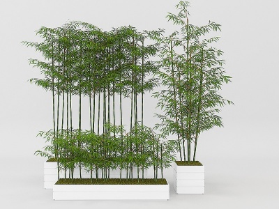 植物竹子模型