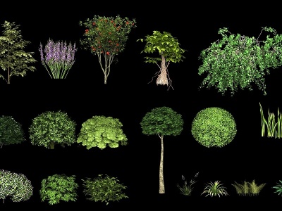 3d现代园林景观植物模型