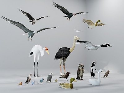 3d現代動物飛禽飛行動物模型