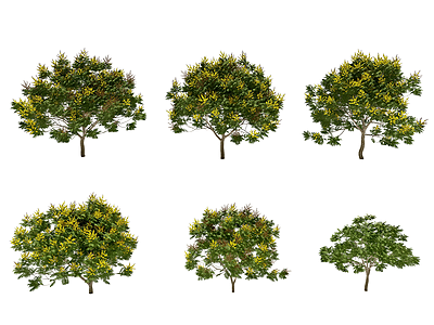 现代盾柱树模型3d模型