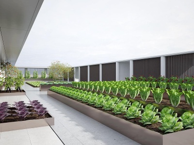 3d现代风格蔬菜庭院模型