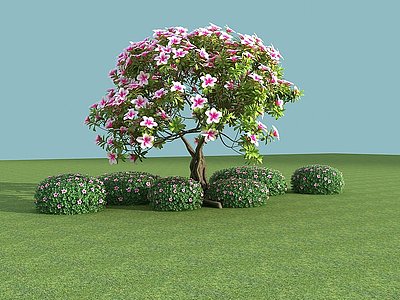 3d现代植物杜鹃花模型