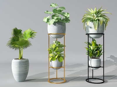 3d植物盆景绿植花盆模型