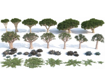 现代灌木植物模型3d模型