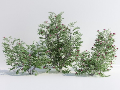 3d现代灌木花草绿植花坛模型