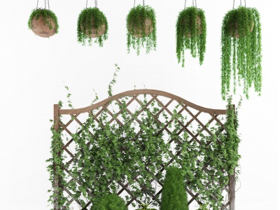 3d植物墙花槽吊篮藤蔓植物模型
