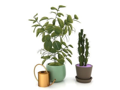 现代风格植物花盆模型3d模型
