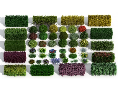 3d现代景观绿篱灌木花草模型