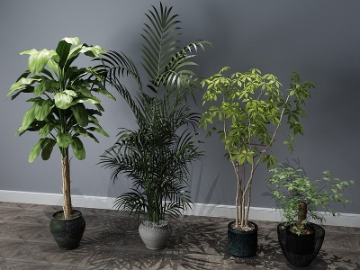 现代植物盆景盆栽模型3d模型