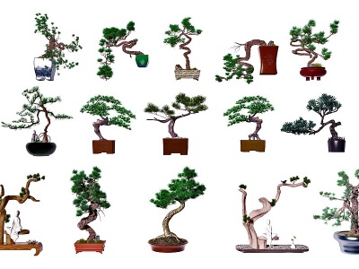 新中式松树盆栽盆景模型3d模型
