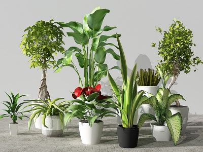 3d植物盆景盆栽绿植花盆模型