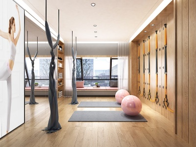 3d现代家居瑜珈健身房模型