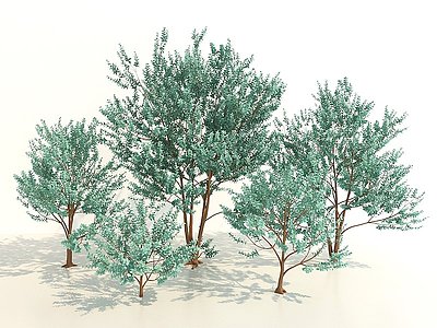 3d现代灌木绿植模型