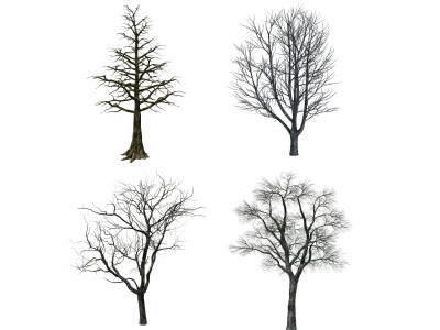 3d现代枯树树木模型