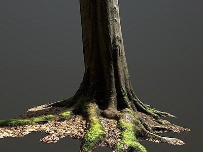 3d现代树干树根模型