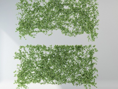 3d植物墙藤蔓模型