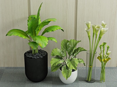 3d现代绿植盆栽植物模型