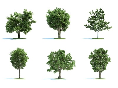 C4D3d現代景觀樹木模型下載模型