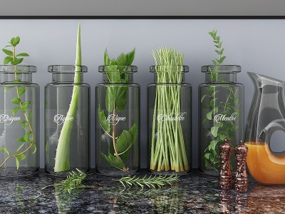 3d现代玻璃绿植植物芦荟模型