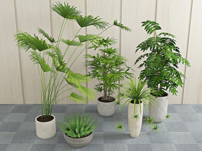 现代盆栽绿植植物模型3d模型