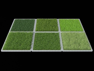 3d草地草坪模型