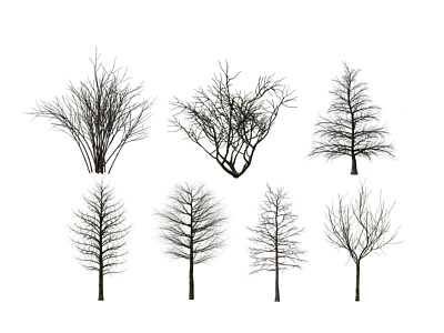 3d现代树木枯树植物模型