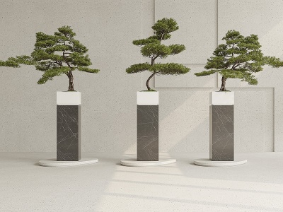 新中式松树盆栽模型3d模型