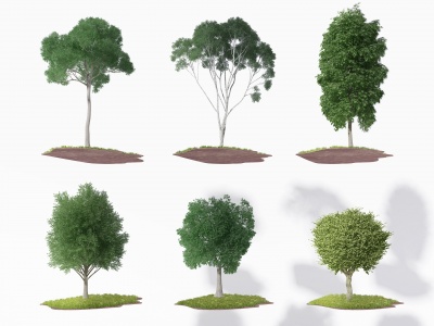 3d现代树树池模型