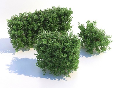 树木灌木模型3d模型