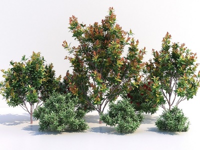 树木灌木模型3d模型