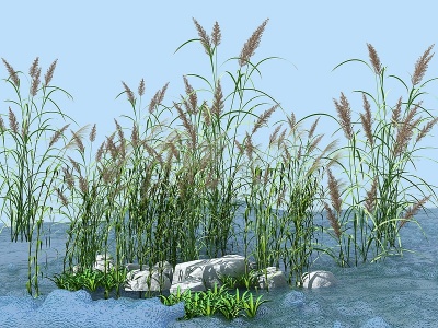 3d水草湿地模型