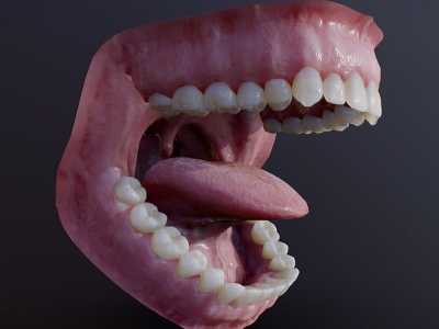 嘴巴模型3d模型