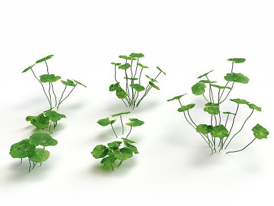 3d水生植物模型