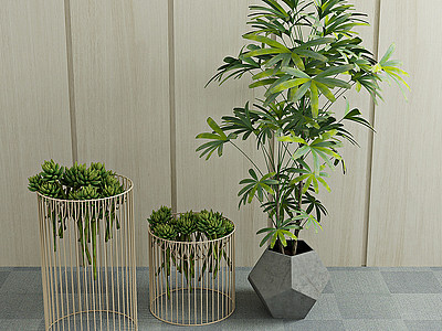 3d现代盆栽绿植植物棕竹模型