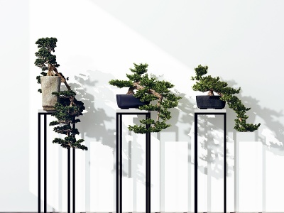 新中式绿植盆栽模型