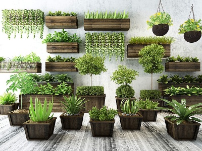 3d绿植盆栽吊篮植物花草墙饰模型
