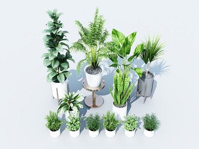 现代绿植盆栽模型