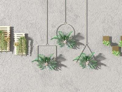 3d北欧植物隔板吊篮吊装植物模型