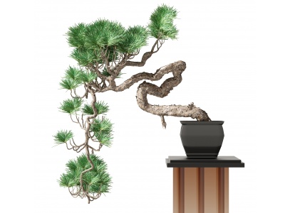 3d新中式植物盆栽模型