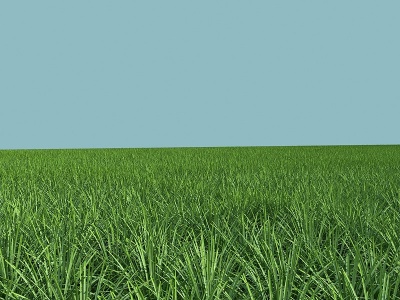 3d现代草地草皮模型