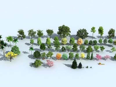 3d现代植物小品模型