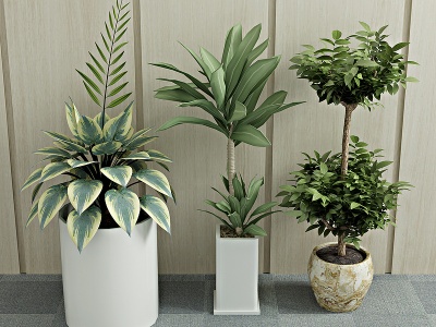 现代植物盆栽绿植模型