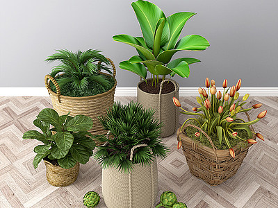 3d现代绿色盆栽模型