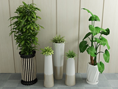 现代绿植盆栽植物模型