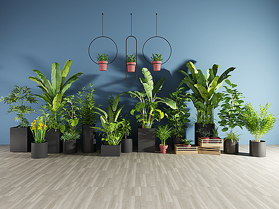 3d植物盆栽绿植观音竹芭蕉模型