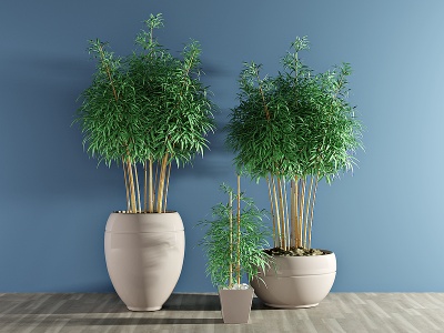 现代绿植盆栽植物竹子模型