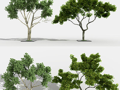 3d現代<font class='myIsRed'>景觀</font>樹綠植模型