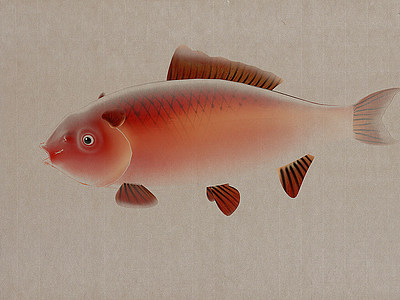 新中式鱼儿装饰挂画模型3d模型