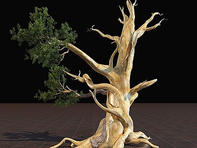 3d枯树模型