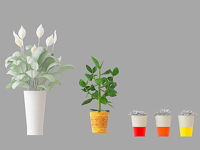 3d盆栽植物模型
